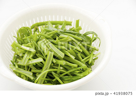 空心菜(クウシンサイ)の茎 空心菜(クウシンサイ)の茎 41938075