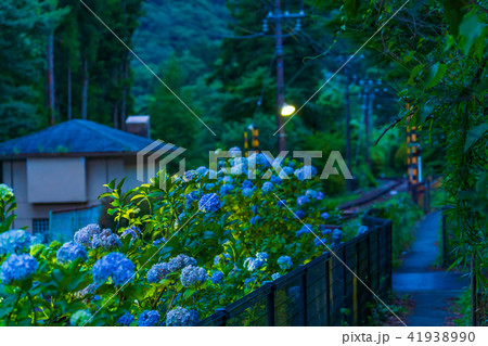 箱根登山鉄道とあじさいの風景 箱根登山鉄道とあじさいの風景 41938990