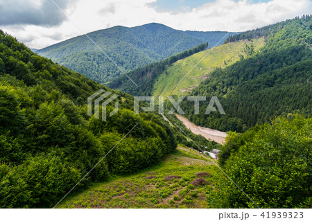 The mountain range is covered with dense thickets 41939323
