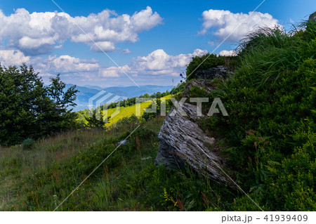 A huge stone boulder, overgrown with green bush in A huge stone boulder, overgrown with green bush in 41939409