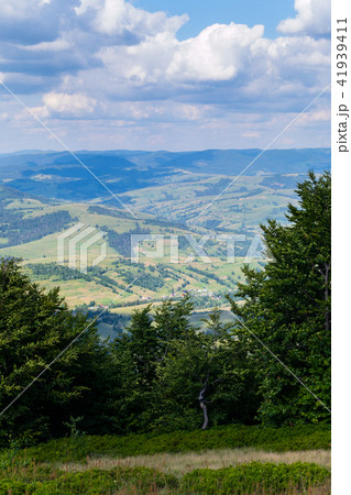Juicy green trees and a valley in the distance. Pe Juicy green trees and a valley in the distance. Pe 41939411