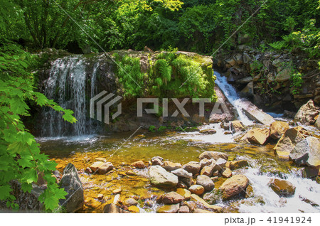新緑の横谷渓谷　霧降の滝 41941924