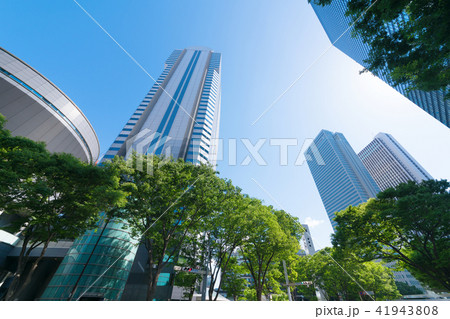 東京風景・新宿・新緑・青空 東京風景・新宿・新緑・青空 41943808