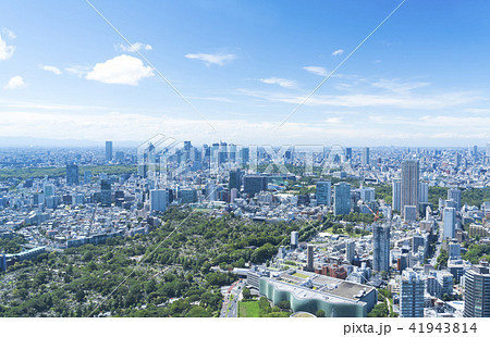 東京風景・ワイド・新宿　代々木　原宿　青山 41943814