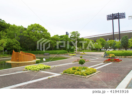 神戸総合運動公園/兵庫県神戸市須磨区緑台 神戸総合運動公園/兵庫県神戸市須磨区緑台 41943916