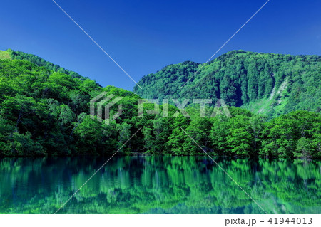 初夏の丸池 初夏の丸池 41944013