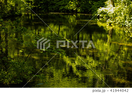 神の小池入り口 41944042