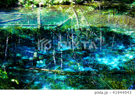 神の小池 41944043