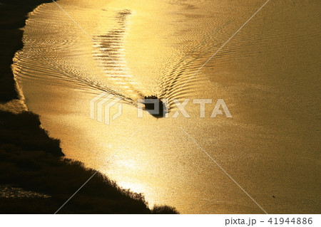 順天湾 順天湾湿地 海 41944886