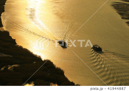 順天湾 順天湾湿地 海 41944887