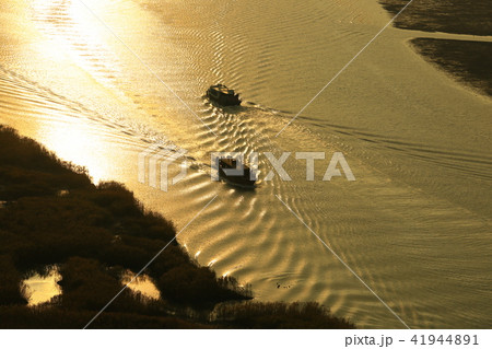 順天湾 順天湾湿地 海 41944891