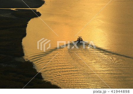 順天湾 順天湾湿地 海 41944898