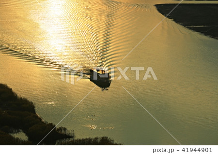 順天湾 順天湾湿地 海 41944901