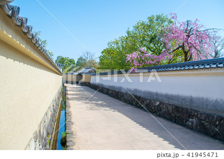 姫路城 西御屋敷跡庭園 好古園 41945471