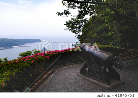 寝姿山 山頂 黒船見張所跡にある大砲 展望台からの眺望 寝姿山 山頂 黒船見張所跡にある大砲 展望台からの眺望 41945751