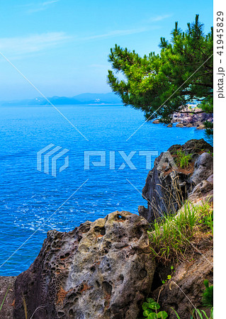 富津弁天公園　高石　【長崎県雲仙市小浜町】 41945829