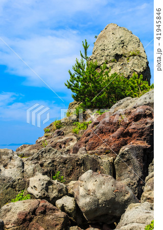 富津弁天公園　高石　【長崎県雲仙市小浜町】 41945846