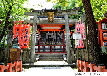 祇園蛭子社(八坂神社・京都) 祇園蛭子社(八坂神社・京都) 41947703