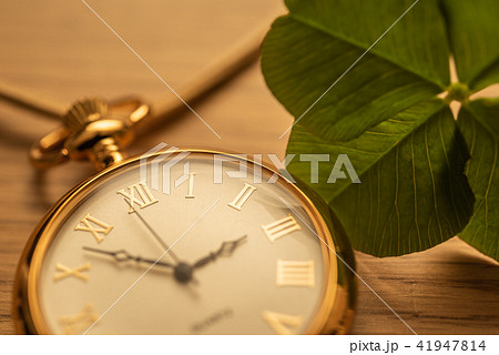 四葉のクローバー 41947814