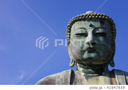 鎌倉大仏 41947939