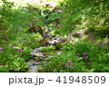 小川 41948509