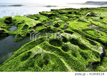 海沿い 沿岸 沖合 41948528