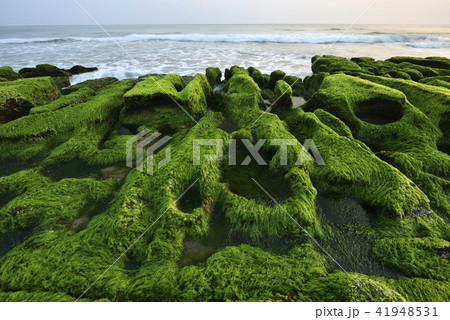 海沿い 沿岸 沖合 41948531