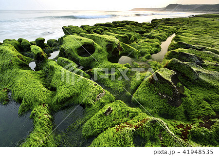 海沿い 沿岸 沖合 41948535