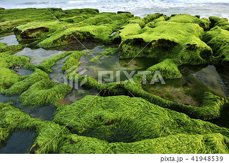 海沿い 沿岸 沖合 41948539