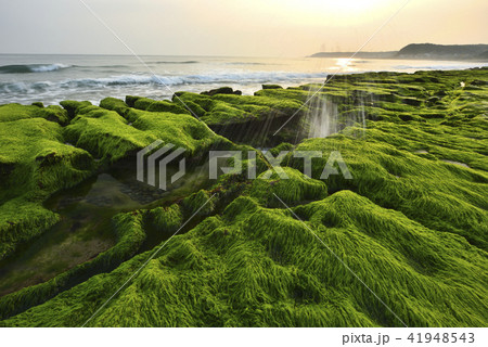 海沿い 沿岸 沖合 41948543