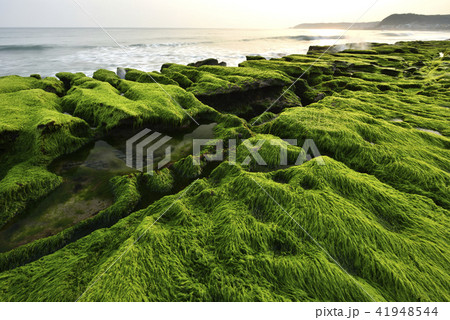 海沿い 沿岸 沖合 41948544
