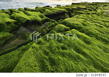 海沿い 沿岸 沖合 41948545