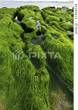 海沿い 沿岸 沖合 41948548