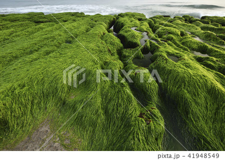 海沿い 沿岸 沖合 41948549