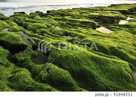 海沿い 沿岸 沖合 41948551