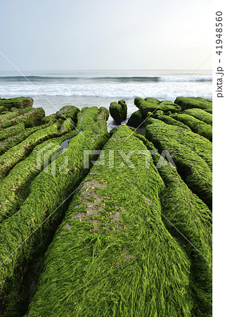 海沿い 沿岸 沖合 41948560