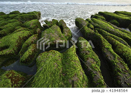 海沿い 沿岸 沖合 41948564