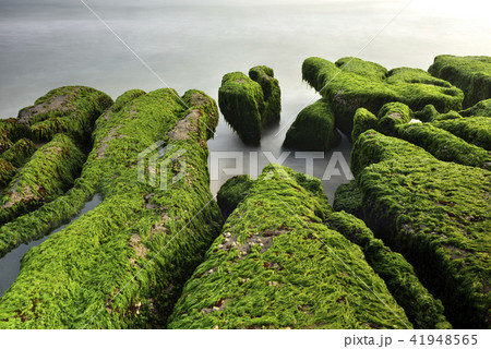 海沿い 沿岸 沖合 41948565