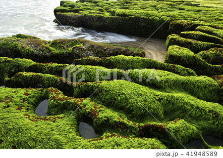 海沿い 沿岸 沖合 41948589