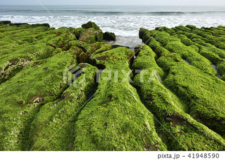 海沿い 沿岸 沖合 41948590