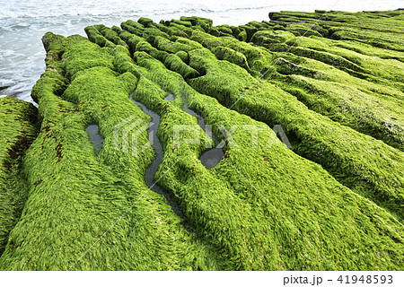 海沿い 沿岸 沖合 41948593