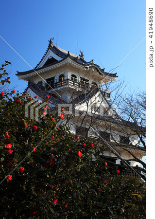 初春の館山城 初春の館山城 41948690