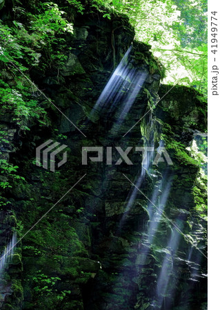 スッカン沢 雄飛の滝の光芒 スッカン沢 雄飛の滝の光芒 41949774