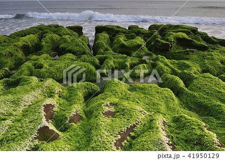 海沿い 沿岸 沖合 41950129