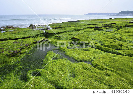 海沿い 沿岸 沖合 41950149