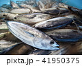 カツオの水揚げ 41950375