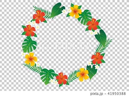 ハワイの植物のフレームのイラスト素材