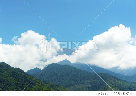 キナバル山　ボルネオ島 41950816