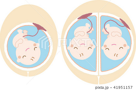 子宮の中の赤ちゃん3のイラスト素材