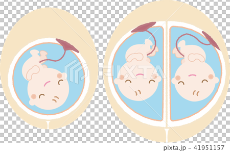 子宮の中の赤ちゃん3のイラスト素材